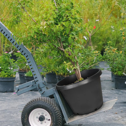 5X 25 Gallon Black Plastic Heavy Duty Nursery Plant Container