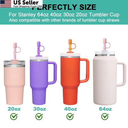 6 Color Replacement Straws with Cover for Cactus