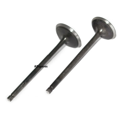Engine Valves for Bajaj Pulsar 220 DTS-Fi (2007–2009)