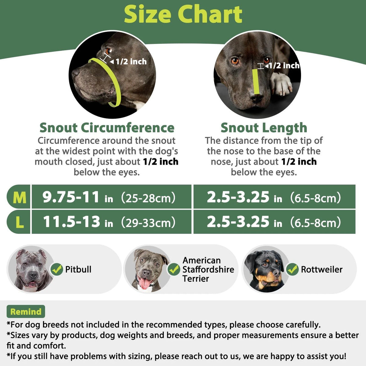 Pitbull Muzzle for Large Medium Dogs (2010–2023)