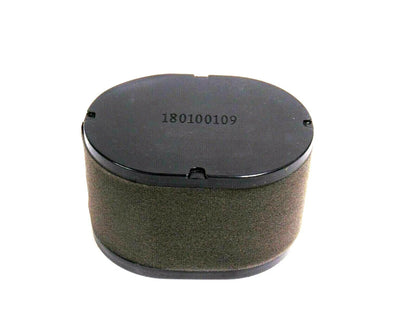 Air Filter for Gravely Lawn Mower (Engine Only) 21567400