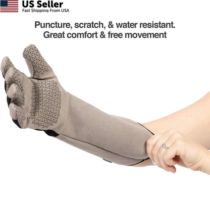 PetFusion Multipurpose Pet Glove for Grooming (Small, Grey)