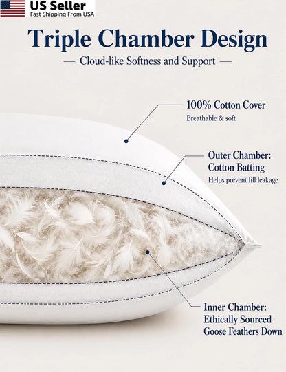Pack of 2 Goose Feather Down Pillows for Standard Size