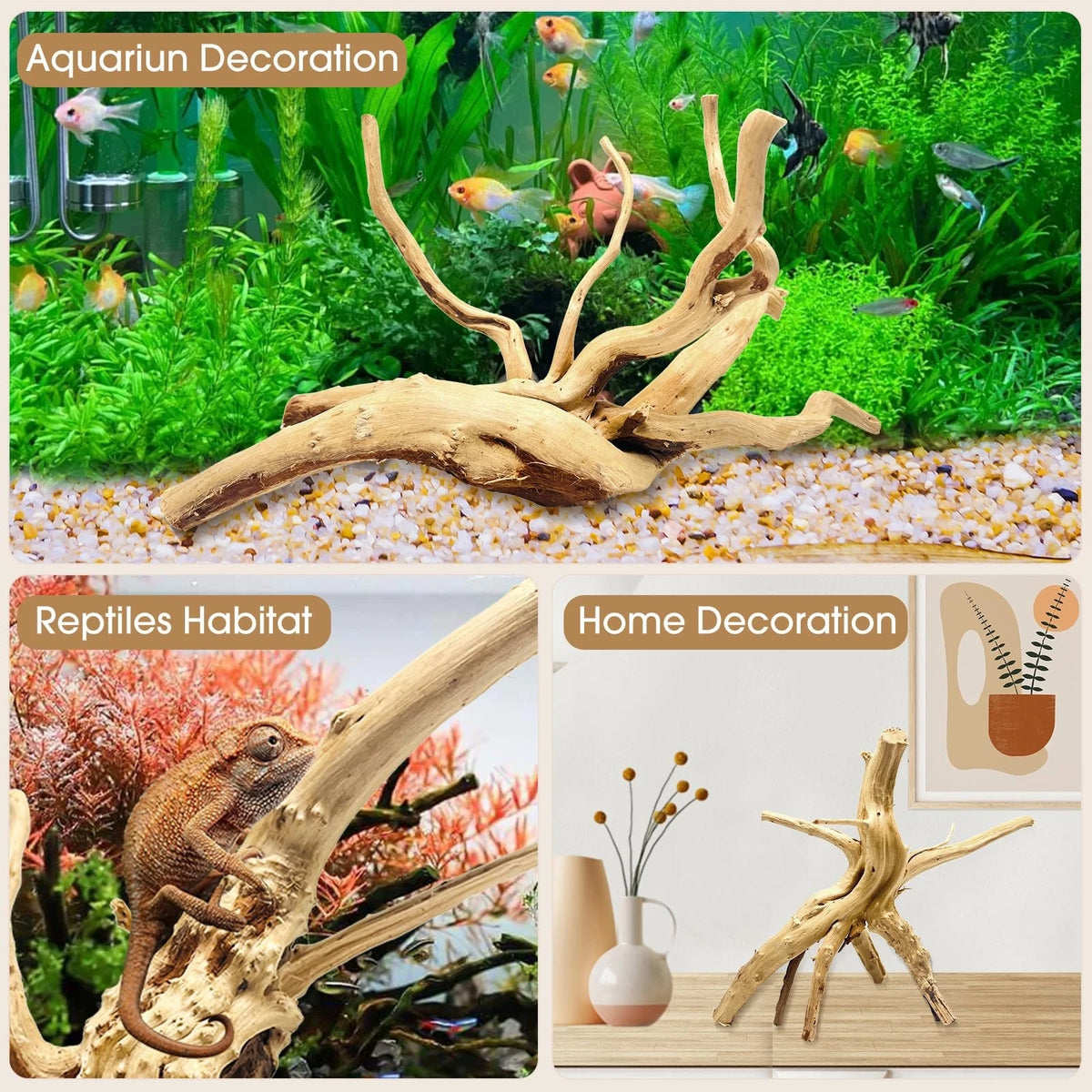 Pack of 8 Natural Small Spiderwood for Aquariums (4 to 8 Inch)