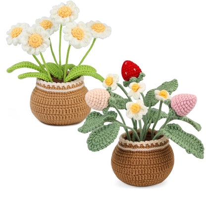 Crochet Kit for Beginners - Flower Strawberry Plant with Tutorials