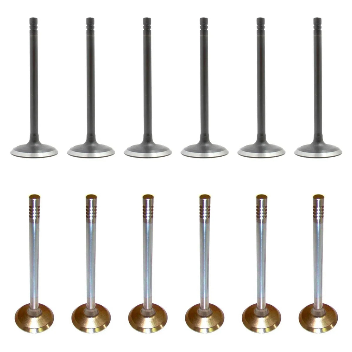 Set of 12 Intake & Exhaust Valves Kit for Dodge Grand Voyager (1996–2000)
