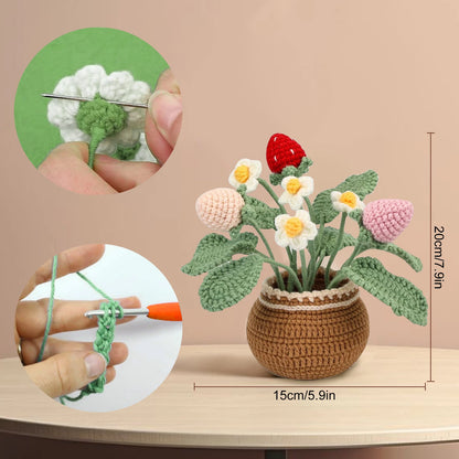 Crochet Kit for Beginners - Flower Strawberry Plant with Tutorials