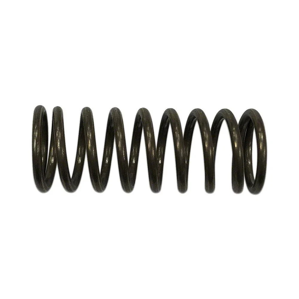FDS4596 Hydraulic Pump Piston Spring for Ford
