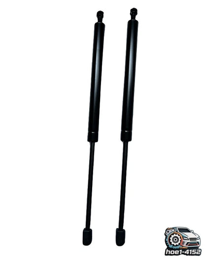 2X Front Hood Lift Support Shock for Toyota Sequoia Tundra (2007–2014) 6655 SG229026