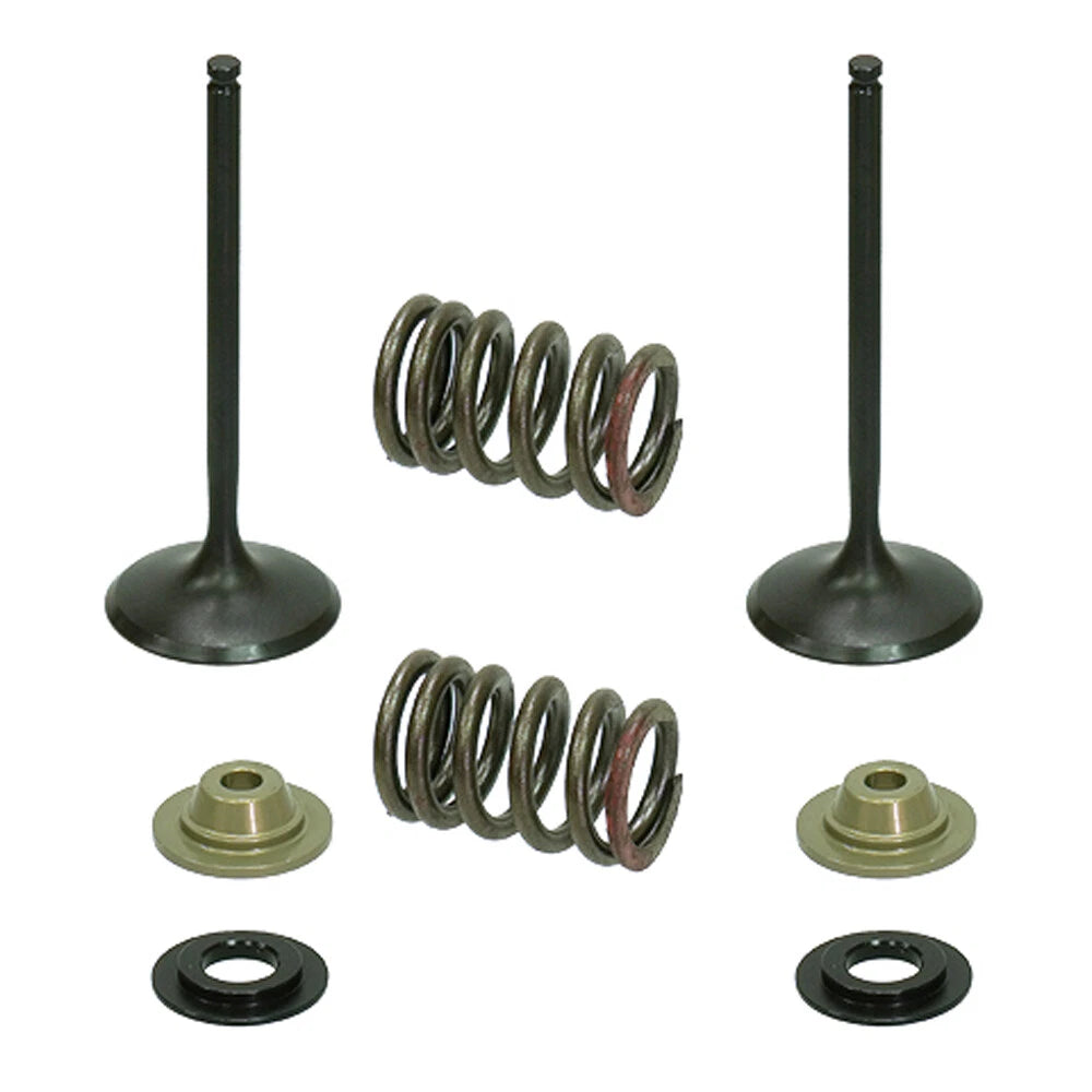 Psychic Intake Valve Kit for Kawasaki KX250F (2011–2016) XU-09539IK