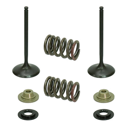 Psychic Intake Valve Kit for Kawasaki KX250F (2011–2016) XU-09539IK