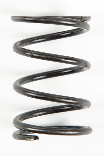 Clutch Spring for (209677A)