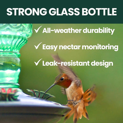 Hummingbird Feeder for Easy Clean (10 Oz Capacity)