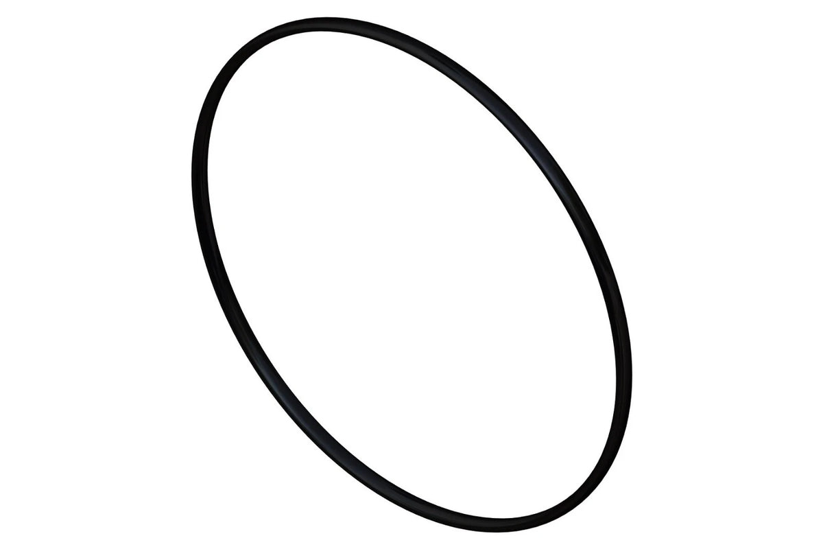 O-ring for Cummins ISX Water Pump (121384)