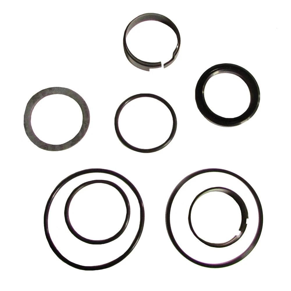 Hydraulic Cylinder Seal Kit for Case 350 (Loader)