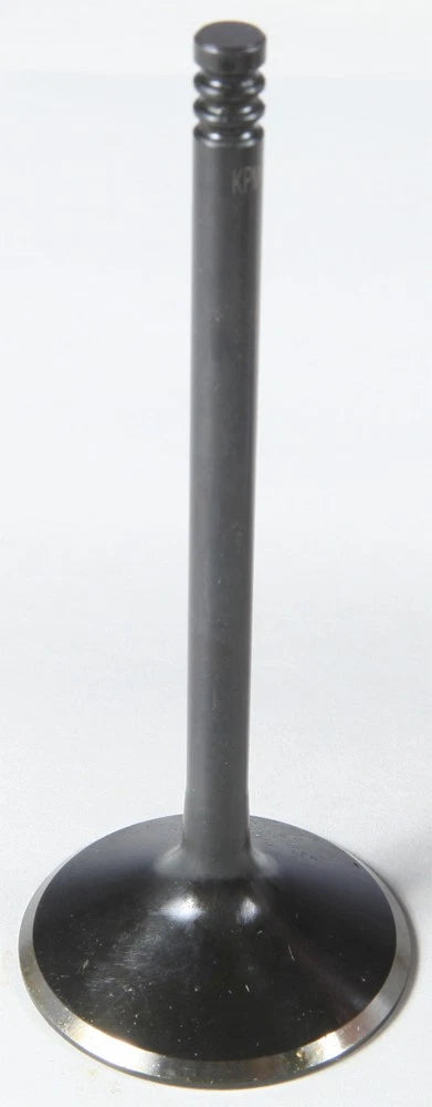 Black Diamond Intake Valve for KPMI (20-20260)
