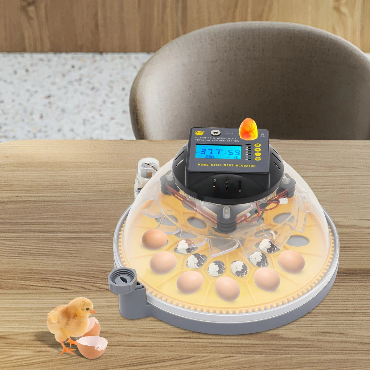 Automatic Egg Incubator with Humidity Control for Hatching Eggs