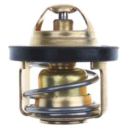 Thermostat Unit for CFMoto CF250 Maxi-Scooter (F039-029)