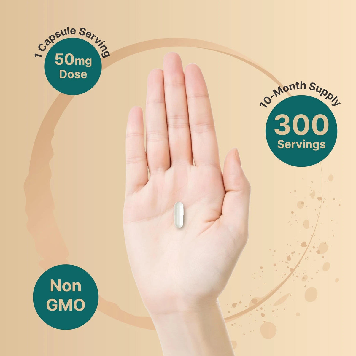 DHEA 50mg Capsules for Men & Women (300 Count)