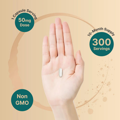 DHEA 50mg Capsules for Men & Women (300 Count)