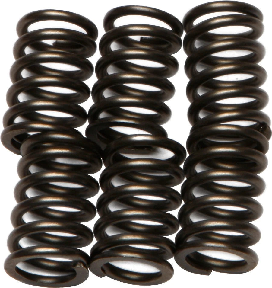 Clutch Spring Set for EBC CSK64