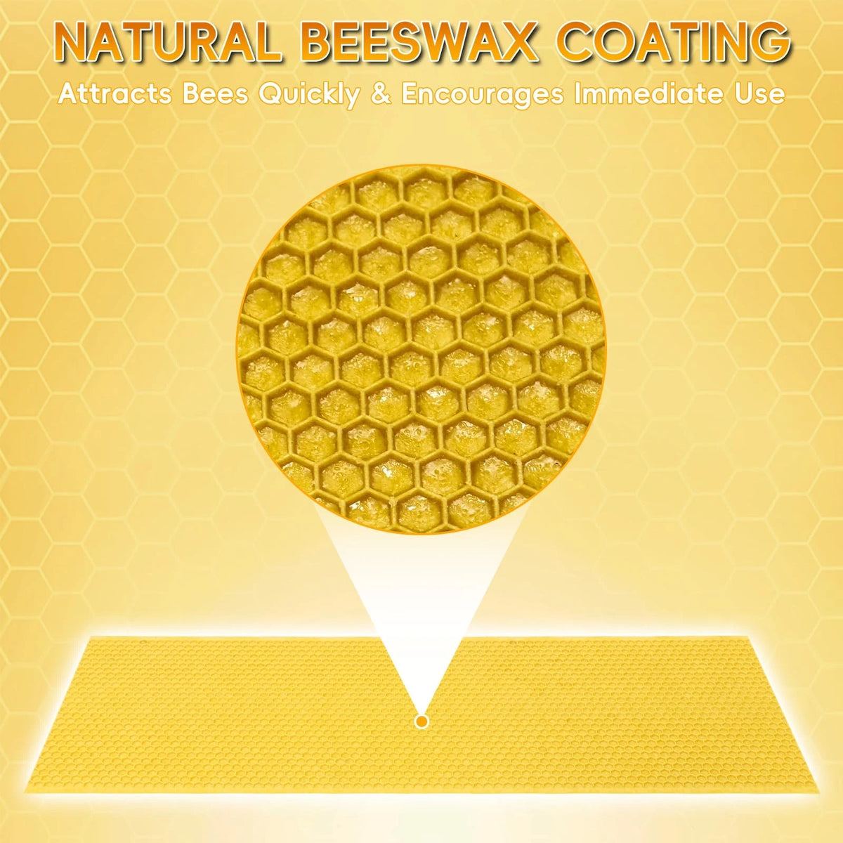 10PCS Plastic Bee Frame Medium Foundation Sheets, Natural Beeswax