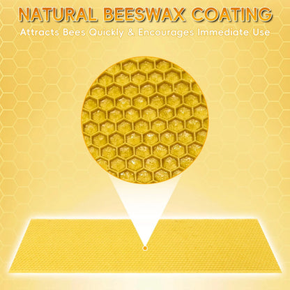 10PCS Plastic Bee Frame Medium Foundation Sheets, Natural Beeswax