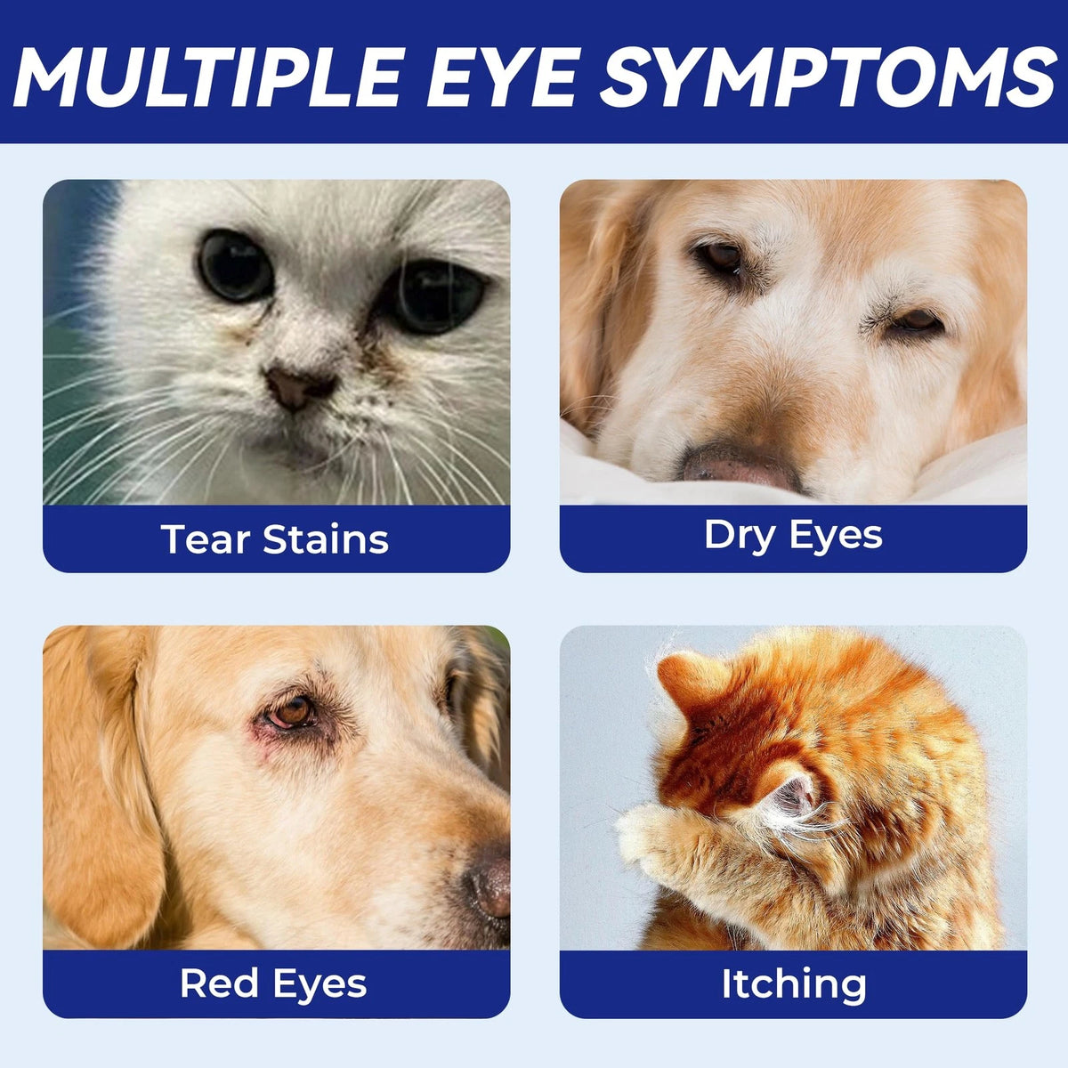 Pet Eye Drops for Dogs & Cats (60ml)