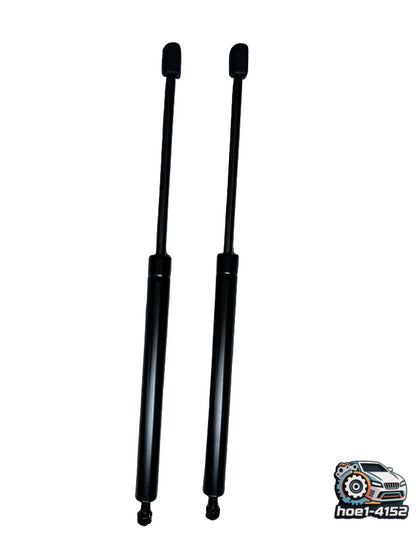 2X Front Hood Lift Support Shock for Toyota Sequoia Tundra (2007–2014) 6655 SG229026