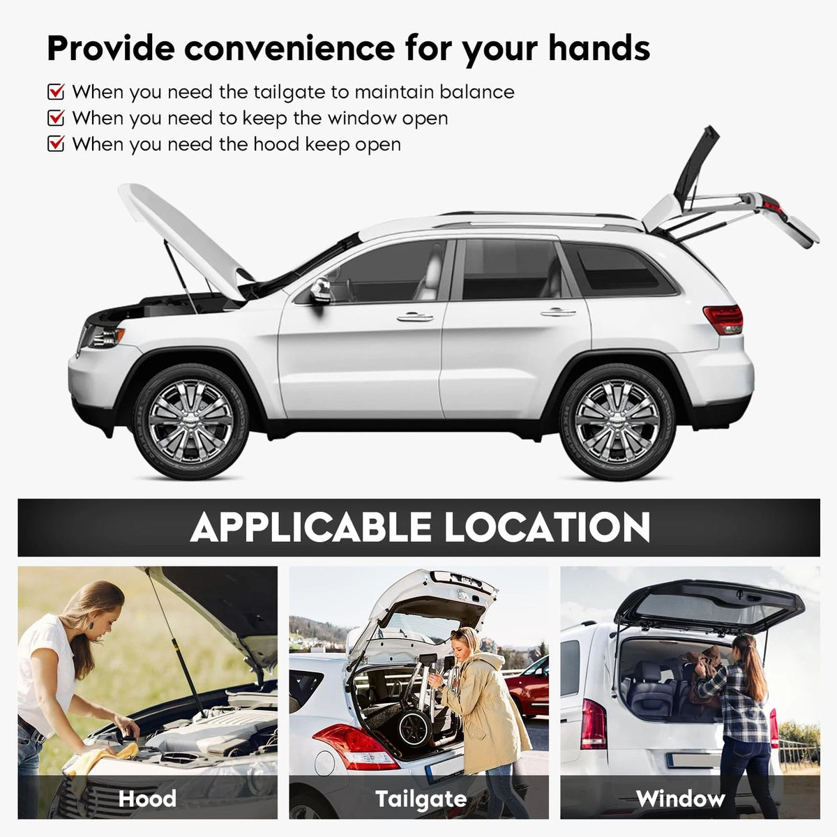 Trunk Lid Struts for Buick Century (2000–2005)